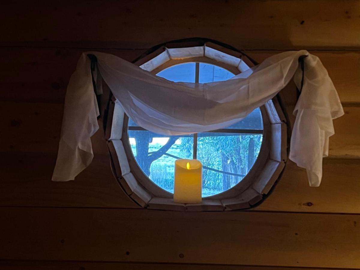 The Gratitude Homestay Alamosa Exteriér fotografie